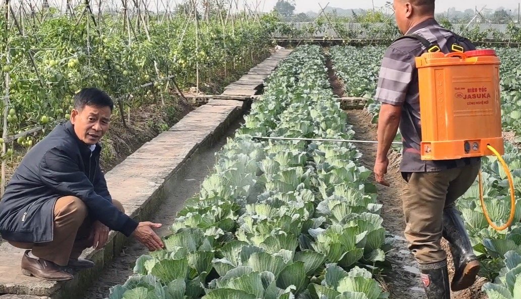 Sử dụng Phù Đổng rất an toàn